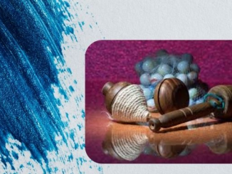 Un Viaje por los Juegos y Juguetes Venezolanos