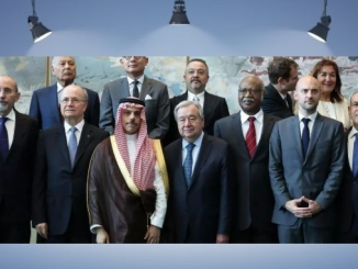 Exclusión inédita en la ONU: ONG acreditadas vetadas en reunión diplomática