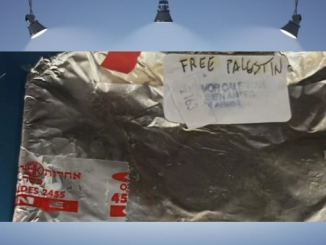 Antisemitismo deliberado y negligencia o estupidez sin mala intención