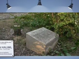 De la ambigüedad al hacha, el caso del árbol de Ilan Halimi en Francia