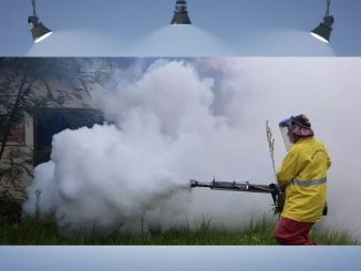 Virus, mosquitos y poder en China